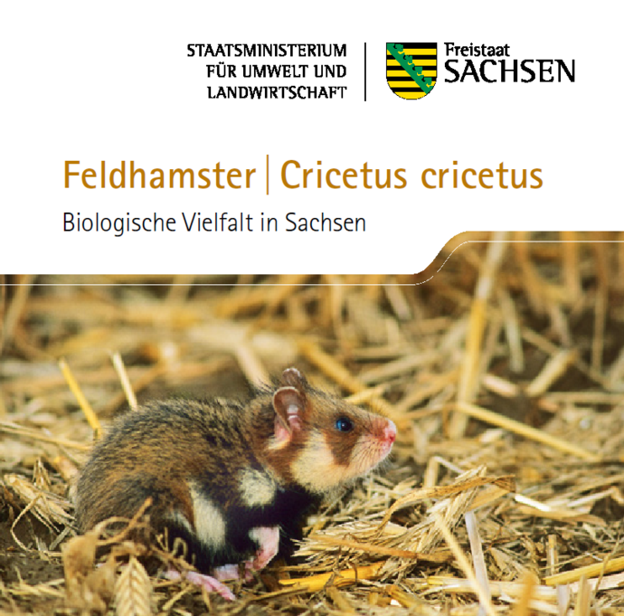 Bild eines Feldhamsters im Stroh