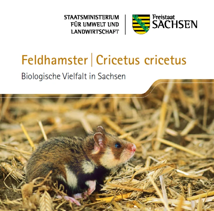 Bild eines Feldhamsters im Stroh