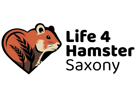 Logo des LIFE4HamsterSaxony Projektes: ein Feldhamster in einem Herz. im Vordergrund eine Getreideähre