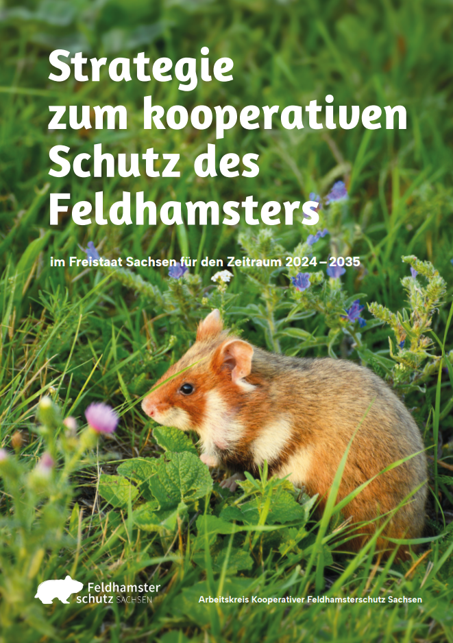 Titelbild der Strategie für den kooperativen Feldhamsterschutz 2024-2035